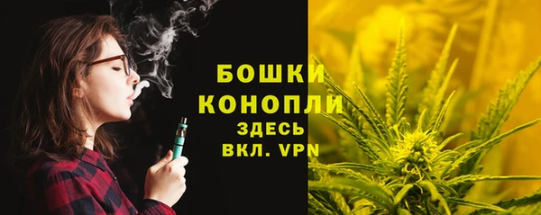 прущие грибы Лиски